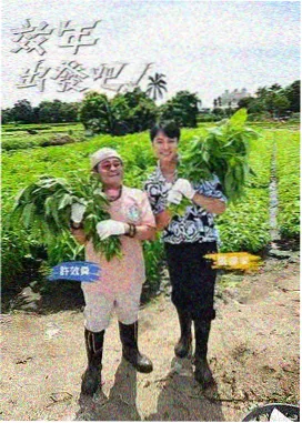 免费观看网站看大片 奔跑吧
